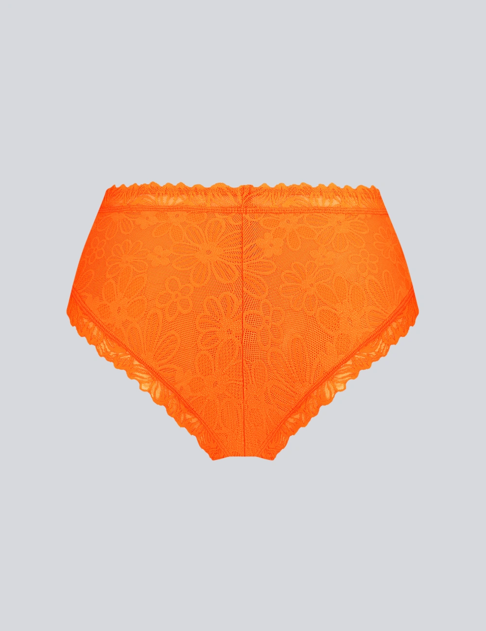 Труси бріфи 003MV (2 шт) - предметна фотографія